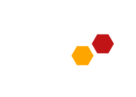 BISG zertifizierter IT-Gutachter